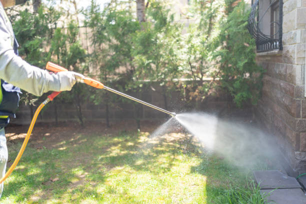 Best Organic or Eco-Friendly Pest Control  in Dyer, IN